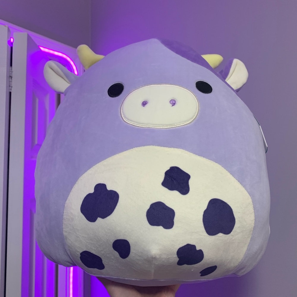 Bubba squishmallow